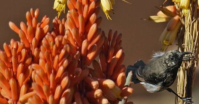 Grief Resources image